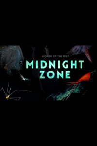Into the Midnight Zone (2024) subtitle poster