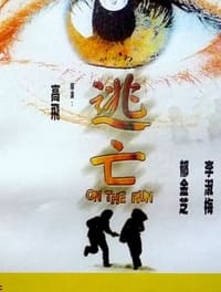 逃亡 (1999)