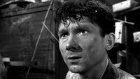 «Вольный город (1958)» — обои к фильму #2