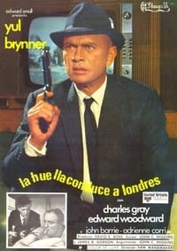 Poster de The File of the Golden Goose