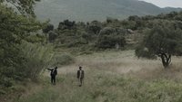 Walk
