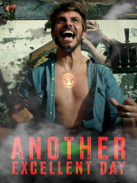 Another Excellent Day (2014) subtitle poster
