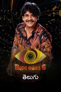 బిగ్ బాస్ (2017)