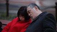 «Путешествие с Хару (2010)» — обои к фильму #2