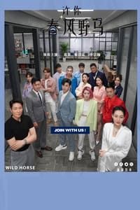 Poster de 许你春风野马
