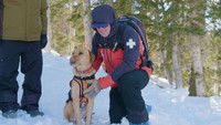 Avalanche Rescue Dogs & The Beagle Brigade
