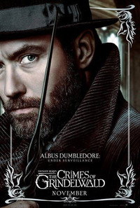 Постер фильма «Фантастические твари: Преступления Грин-де-Вальда (2018)» — (42 из 154)