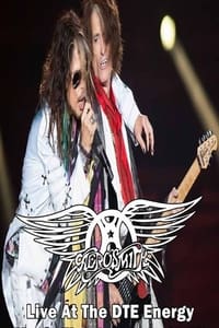 Aerosmith Live In Detroit Proshot - 2014