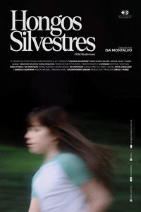 Hongos Silvestres