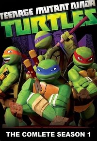 Teenage Mutant Ninja Turtles 1×1