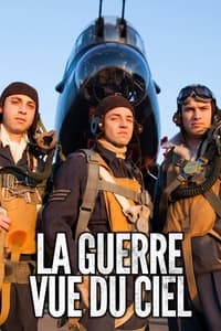 La guerre vue du ciel (2013)