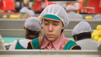 «The Girl in the Lemon Factory (2013)» — обои к фильму #1