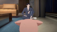 Lu Has a Cat