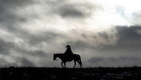 «Bring on the Dancing Horses (2022)» — обои к сериалу #1