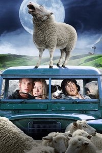 movie-images