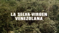 The Venezuelan Virgin Jungle