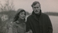 «Ошибки юности (1978)» — обои к фильму #2