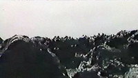 «Лунный загар (1985)» — обои к фильму #1