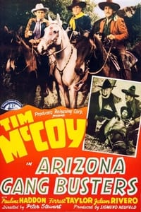 Arizona Gang Busters (1940)