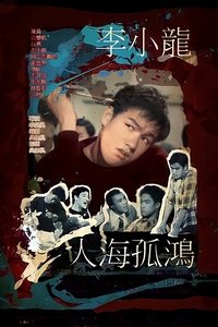 Poster de 人海孤鴻