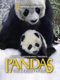 Poster de Pandas: El camino a casa