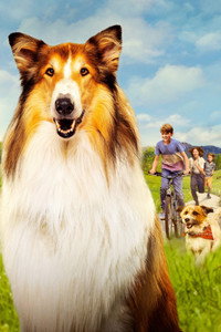 Постер фильма «Лесси — лохматый детектив (2023)» — (1 из 13)