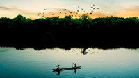 «Amazônia Eterna (2012)» — обои к фильму #1
