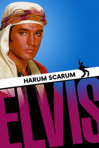 Постер фильма «Каникулы в гареме (1965)» — (11 из 18)