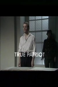 Poster de True Patriot