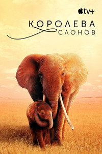 Постер фильма «Королева слонов (2018)» — (9 из 21)