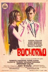 Poster de Bochorno