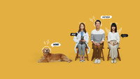 «Animal Whisper (2020)» — обои к сериалу #1