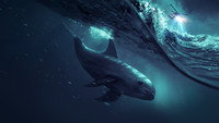 «Море теней (2019)» — обои к фильму #1