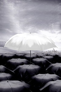 Постер сериала «Анатомия страсти (2005)» — (43 из 301)