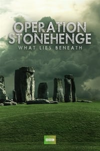 Opération Stonehenge (2014)