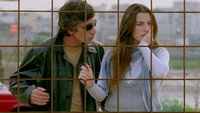 «Дикие собаки (2007)» — обои к фильму #1