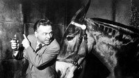 «Фрэнсис в доме с привидениями (1956)» — обои к фильму #8