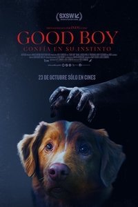 Poster de Good Boy: Confía en su instinto