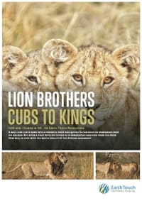 Poster de Lion Brothers: Cubs to Kings