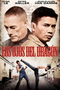 Poster de Dragon Eyes