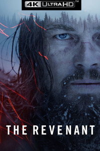 Постер фильма «Выживший (2015)» — (24 из 95)