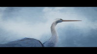 «Подо льдом (2019)» — обои к мультфильму #1