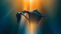 «Masters of Illusion (2014)» — обои к сериалу #7