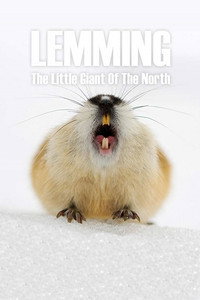 Постер к фильму Lemming, the little giant of the North (2017)