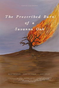 Imagem do Filme The Prescribed Burn of a Savanna Oak