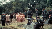 «Холокост (1978)» — обои к сериалу #8