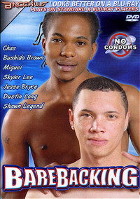 Barebacking (2009) poster