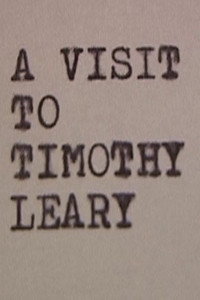 A Visit to Timothy Leary (2006) poster