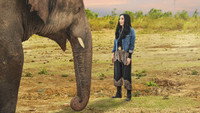 «Cher and the Loneliest Elephant (2021)» — обои к фильму #1