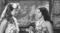 «К югу от Паго-Паго (1940)» — обои к фильму #1